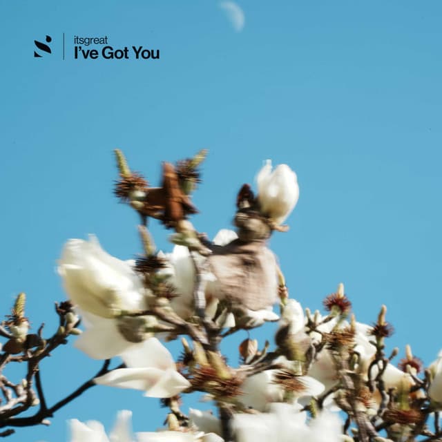 I've Got You – itsgreat