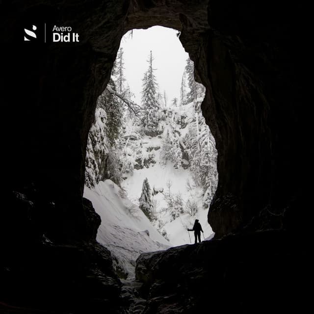Did It – Avero